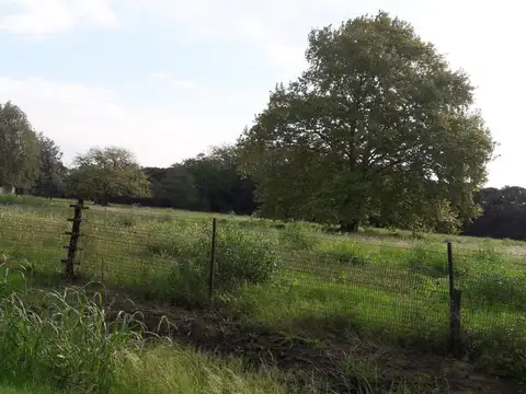 Venta de chacra de 2 hectáreas a 500 mts de Ruta 5. Mercedes