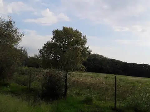 Venta de chacra de 2 hectáreas a 500 mts de Ruta 5. Mercedes