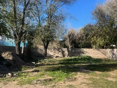 PASAJE LOS HORNOS 100