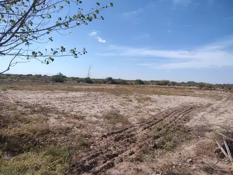 VENTA FINCA 75 Ha c/pozo - La Dormida