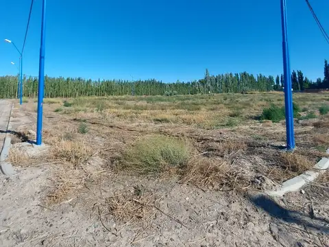 VENTA DE LOTES EN LOTEO BARTORELLI EN GENERAL ROCA