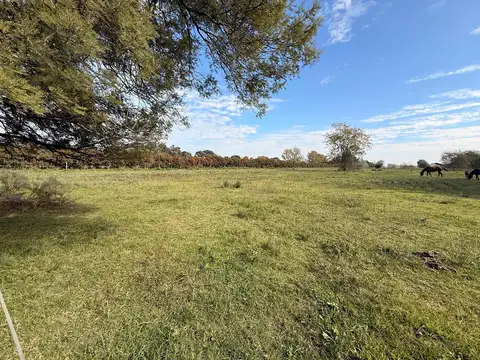 Terreno Lote  en Venta en Altos de Robles, Parada Robles, Exaltación de la Cruz