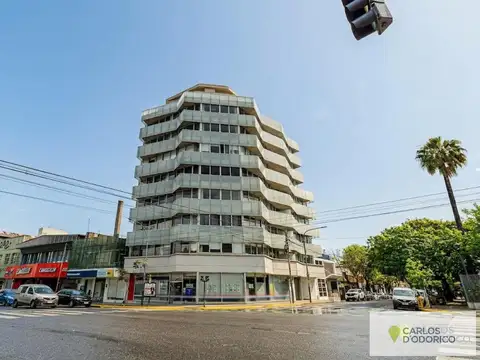 Bonpland 1200