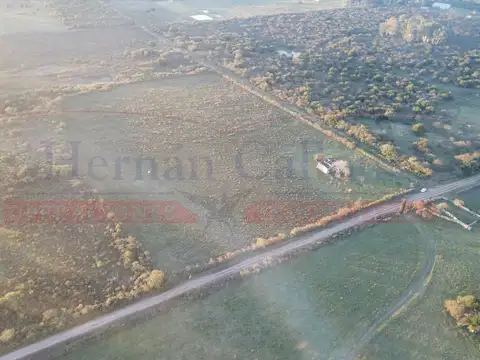 Campo de 4 Has en venta, Colón, Entre Ríos.