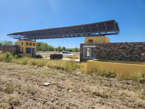 TERRENO SOBRE LA RUTA PARA DESARROLLO TUPUNGATO- TUNUYAN