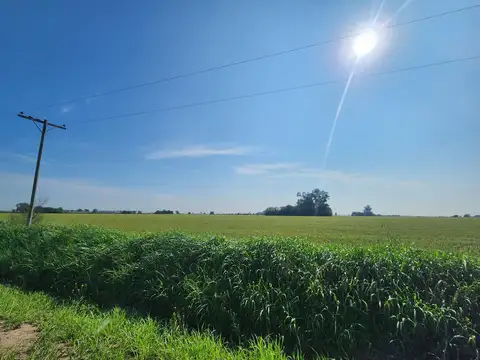 Zona Rural