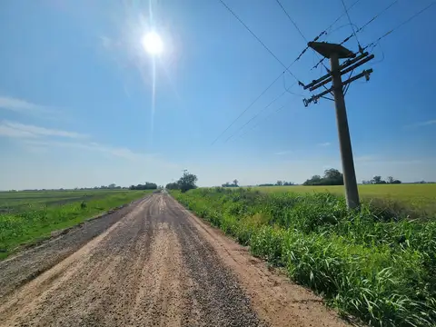 Campo 5,3 ha a 27 km de Rosario (Arroyo Seco Limite con Gral Lagos)
