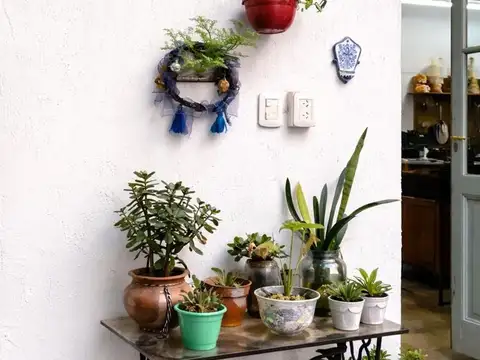 Pasaje el Maestro 100