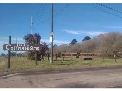 El Tordo y La Gaviota