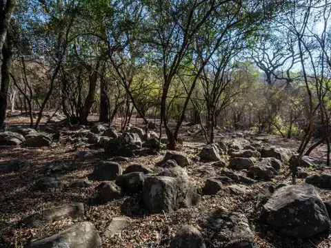 Terreno en Venta en Caldera, USD 12.500