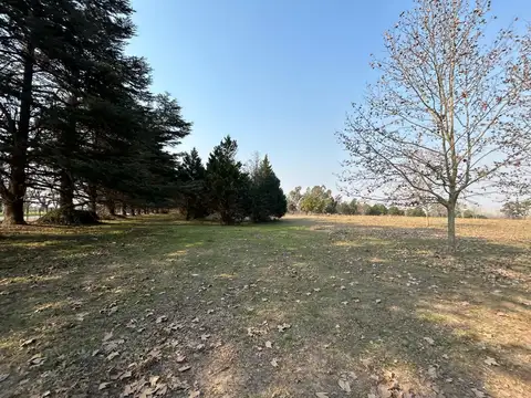 Av.libertador San Martin