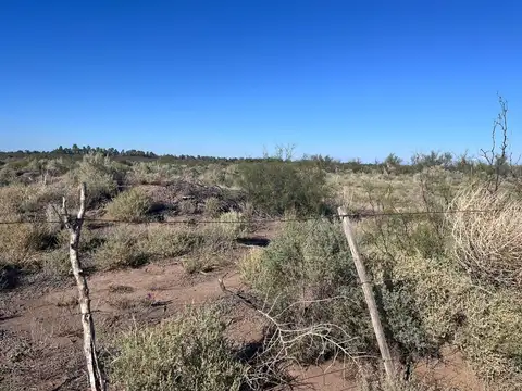 Campo en venta sobre Ruta Nacional 7