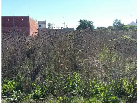 Copernico Y Lucia De Rueda