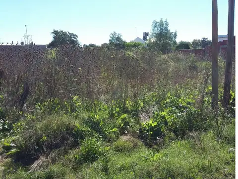 Lotes en Venta en Paso del Rey, Lucía de Rueda