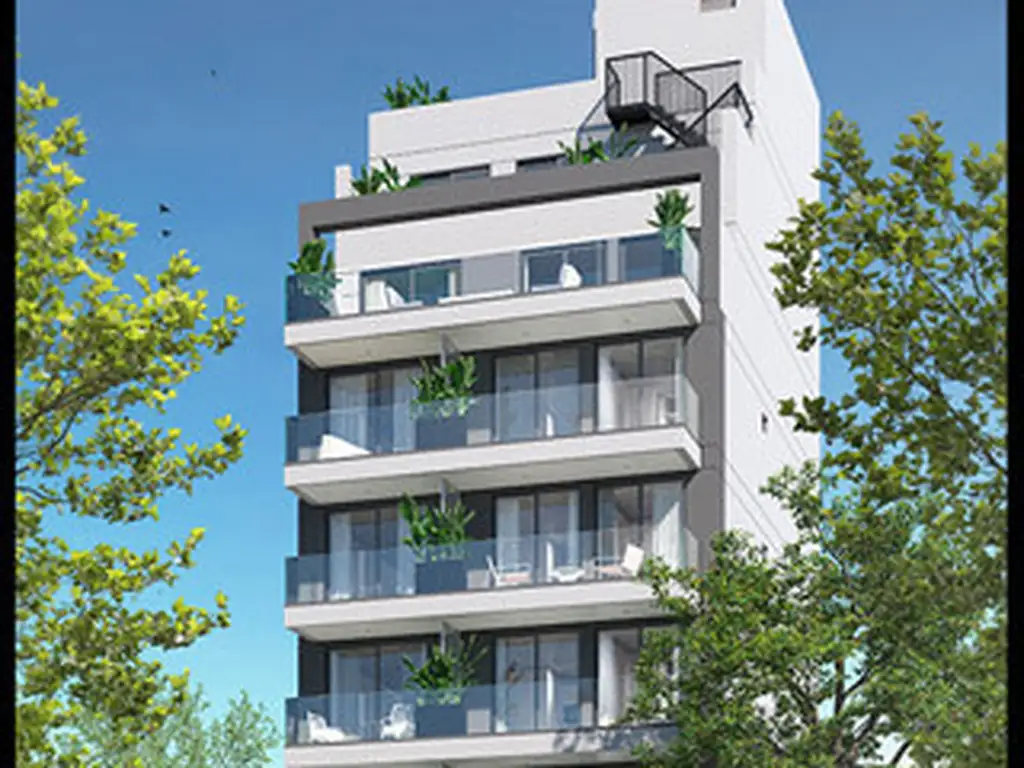 Terra - Entrega Febrero 2025