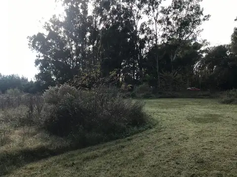 TERRENOS EN VENTA PUNTA INDIO