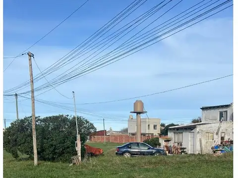 Las Verbenas e/ Los Pensamientos y Las Violetas