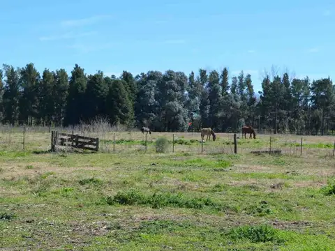 Ruta Provincial 192