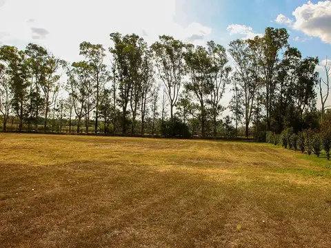 Terreno en Venta 30  mts Frente