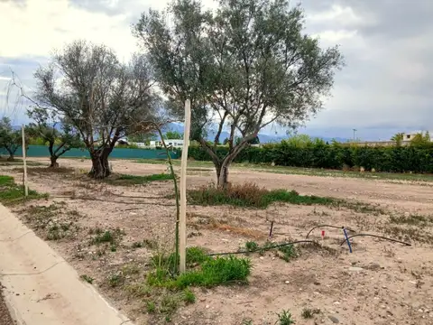 Terreno en Venta en Vistalba, USD 25.000