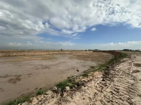 Terreno en Venta de 735,0 m2