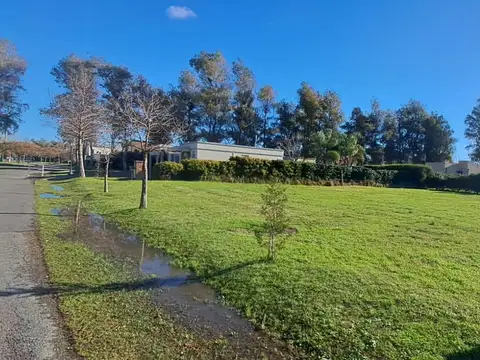 TERRENO EN LA CESARINA