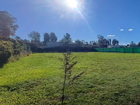TERRENO EN LA CESARINA