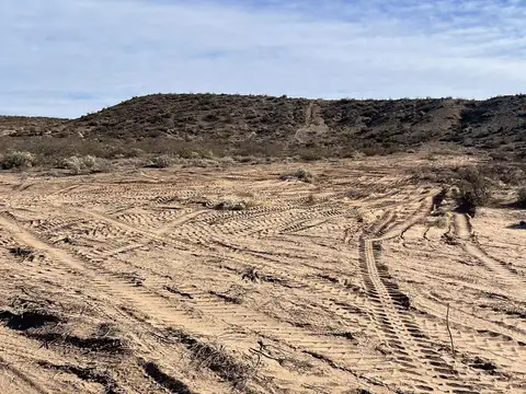 Terreno en Venta en Plottier, USD 280.000