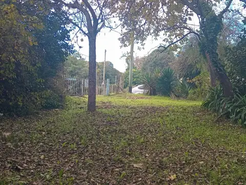 LAVALLE Y MORENO 100