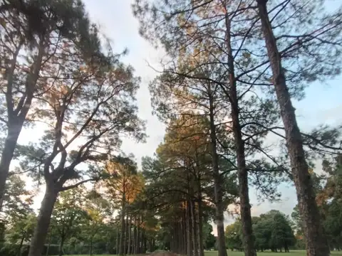 Los Molinos