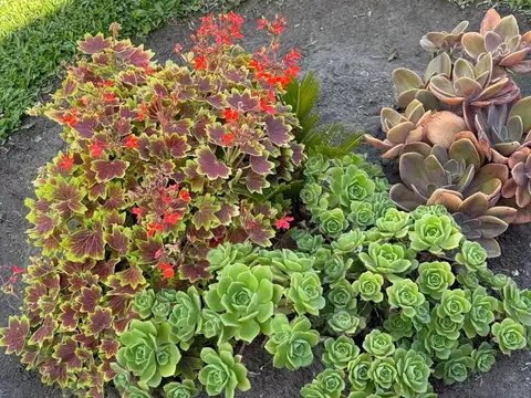 Casa 4 ambientes con 1 baño