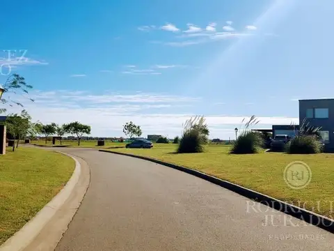 San Sebastian Area 100