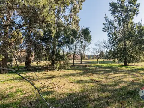 Terreno en Venta en Lisandro Olmos Etcheverry, USD 50.000