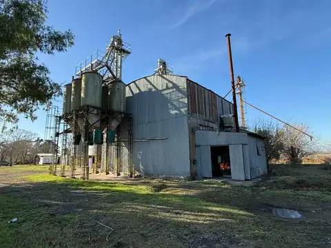 Areco - Alquiler 1 ha. - Planta de alimentos