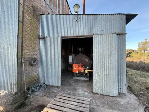Areco - Alquiler 1 ha. - Planta de alimentos
