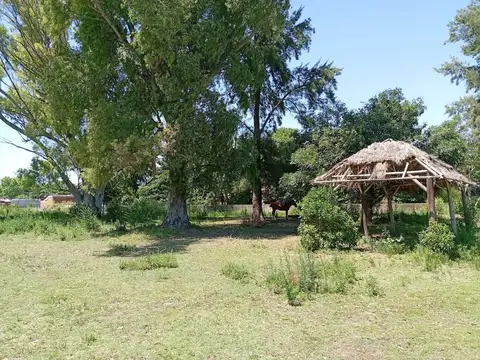 139  y 525 100