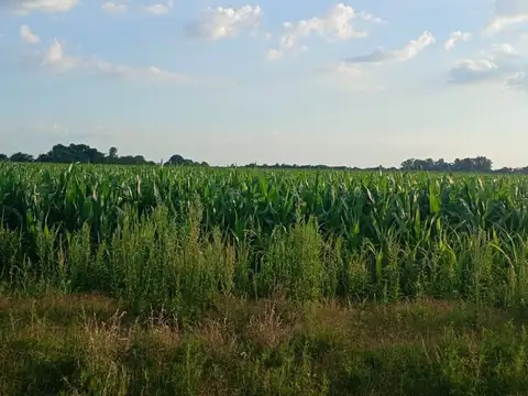 VENTA CAMPO AGRICOLA GENERAL DEHEZA