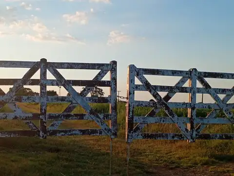 VENTA CAMPO AGRICOLA GENERAL DEHEZA