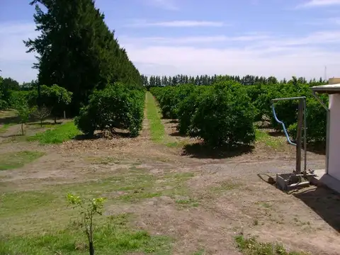 Rural 1500