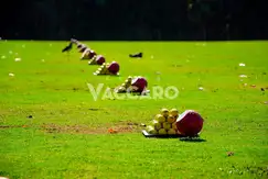 Emprendimiento en Buenos Aires Golf