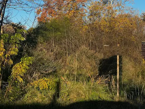 Terreno en Venta 25  mts Fondo