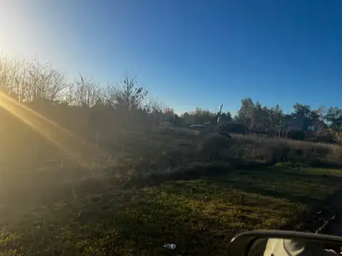 Terreno en Venta de 311,0 m2