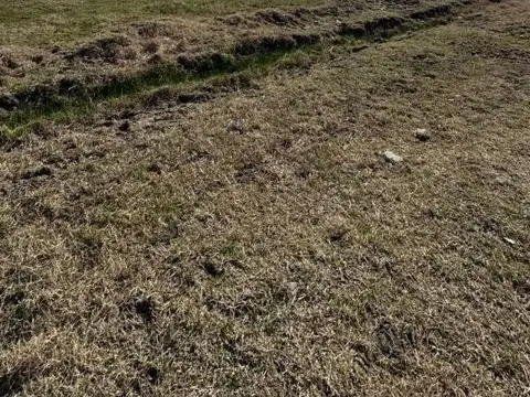 Lote en venta en Barrio Savoia