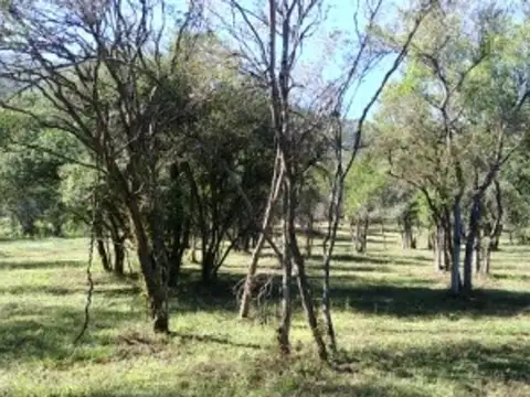 Exc. Lte Vta 1.272 M2 Exc. Zona Las Cañadas Rta 9