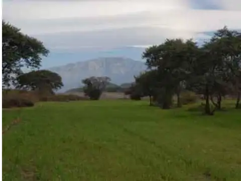 Terreno en Venta en Zona Centro, USD 29.000
