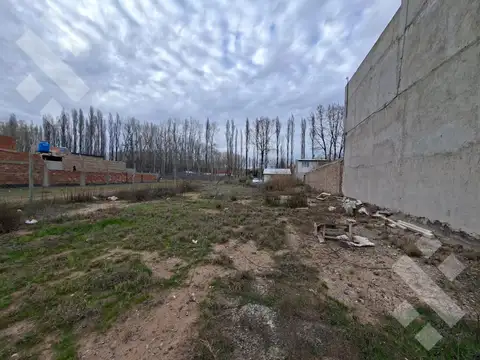 Terreno en Venta en Plottier, Confluencia