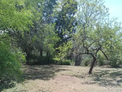 LOTE CENTRICO LA SERRANITA