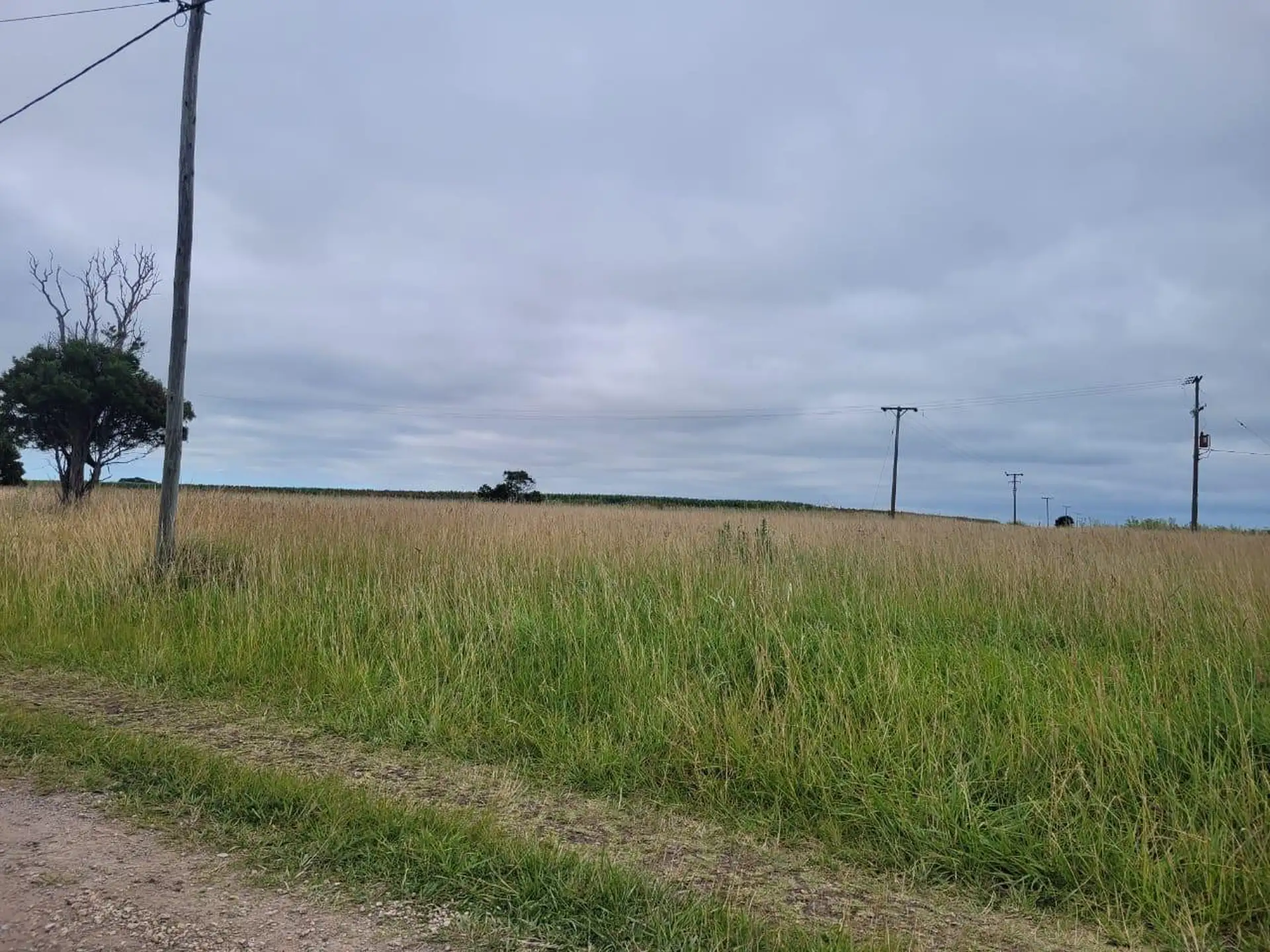 Terreno en venta