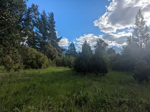 Terreno en Venta en Epuyen, USD 43.000