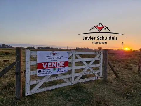 Campo de 17 has. Se toman permutas, por casa o Depto. 